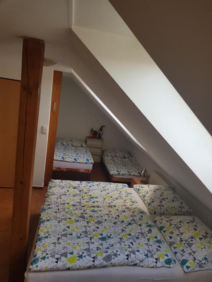 Penzion U Polenu Třeboň Kültér fotó